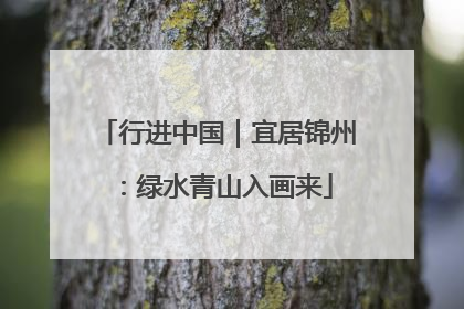 行进中国｜宜居锦州：绿水青山入画来
