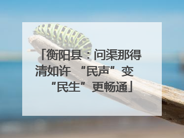 衡阳县：问渠那得清如许 “民声”变“民生”更畅通