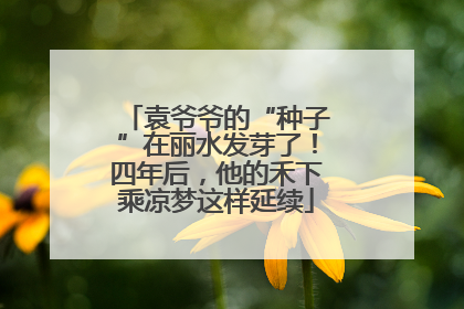 袁爷爷的“种子”在丽水发芽了！四年后，他的禾下乘凉梦这样延续