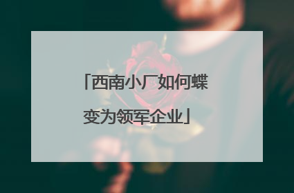 西南小厂如何蝶变为领军企业