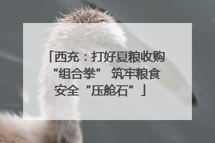 西充：打好夏粮收购“组合拳” 筑牢粮食安全“压舱石”