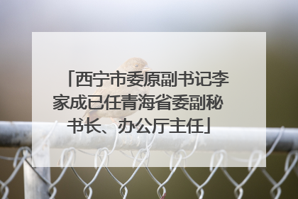 西宁市委原副书记李家成已任青海省委副秘书长、办公厅主任