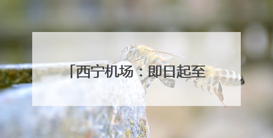 西宁机场：即日起至6月30日为旅客提供充电宝免费邮寄服务