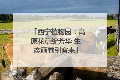 西宁植物园：高原花草绽芳华 生态画卷引客来