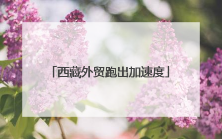 西藏外贸跑出加速度