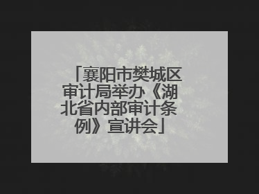 襄阳市樊城区审计局举办《湖北省内部审计条例》宣讲会