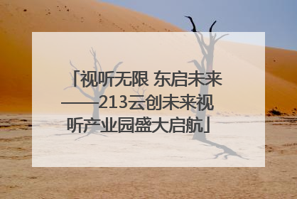 视听无限 东启未来——213云创未来视听产业园盛大启航
