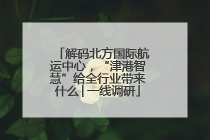 解码北方国际航运中心，“津港智慧”给全行业带来什么│一线调研