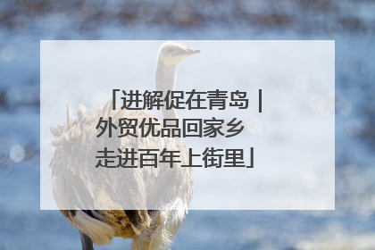 进解促在青岛｜外贸优品回家乡 走进百年上街里