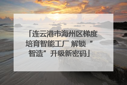 连云港市海州区梯度培育智能工厂 解锁“智造”升级新密码
