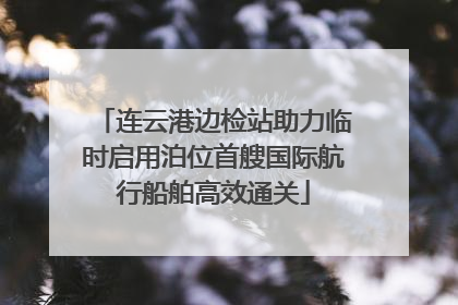 连云港边检站助力临时启用泊位首艘国际航行船舶高效通关