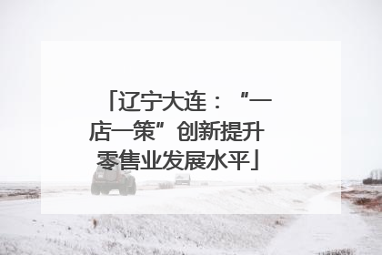 辽宁大连：“一店一策”创新提升零售业发展水平