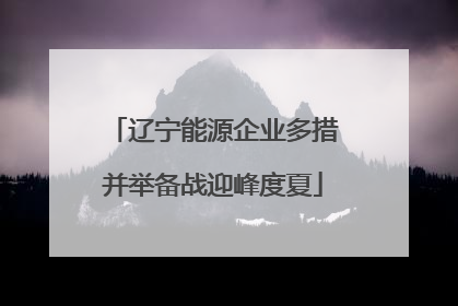辽宁能源企业多措并举备战迎峰度夏