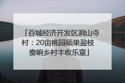 谷城经济开发区洞山寺村：20亩桃园硕果盈枝 奏响乡村丰收乐章