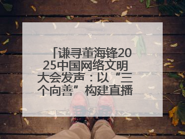 谦寻董海锋2025中国网络文明大会发声：以“三个向善”构建直播电商善意长河