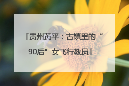 贵州黄平：古镇里的“90后”女飞行教员