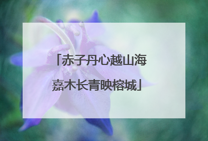 赤子丹心越山海 嘉木长青映榕城
