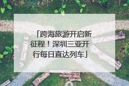 跨海旅游开启新征程！深圳三亚开行每日直达列车