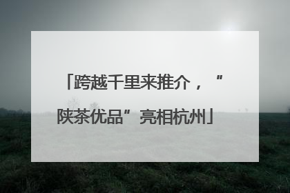 跨越千里来推介，“陕茶优品”亮相杭州
