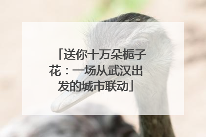 送你十万朵栀子花：一场从武汉出发的城市联动