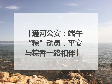 通河公安：端午“粽”动员，平安与粽香一路相伴