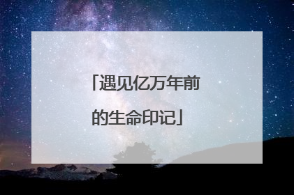 遇见亿万年前的生命印记