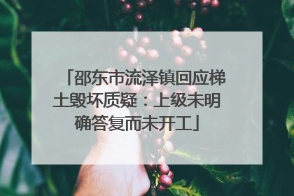 邵东市流泽镇回应梯土毁坏质疑：上级未明确答复而未开工