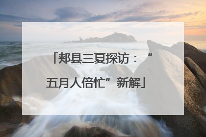 郏县三夏探访：“五月人倍忙”新解
