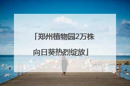 郑州植物园2万株向日葵热烈绽放