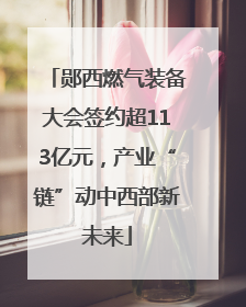 郧西燃气装备大会签约超113亿元，产业“链”动中西部新未来