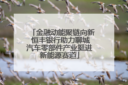 金融动能聚链向新 恒丰银行助力聊城汽车零部件产业挺进新能源赛道