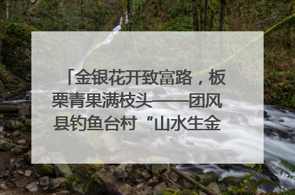 金银花开致富路，板栗青果满枝头——团风县钓鱼台村“山水生金”谱写共富新篇章