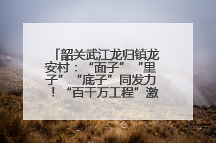韶关武江龙归镇龙安村：“面子”“里子”“底子”同发力！“百千万工程”激活乡村新动能