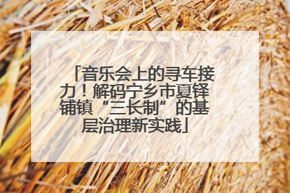 音乐会上的寻车接力！解码宁乡市夏铎铺镇“三长制”的基层治理新实践