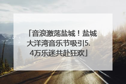 音浪激荡盐城！盐城大洋湾音乐节吸引5.4万乐迷共赴狂欢