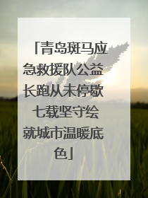 青岛斑马应急救援队公益长跑从未停歇 七载坚守绘就城市温暖底色