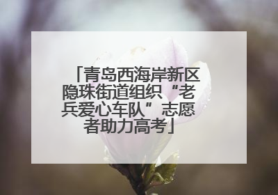 青岛西海岸新区隐珠街道组织“老兵爱心车队”志愿者助力高考