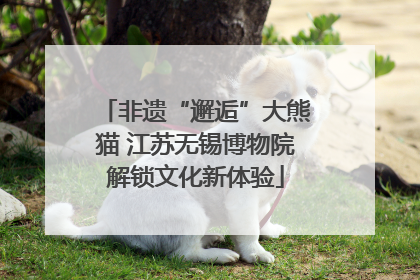 非遗“邂逅”大熊猫 江苏无锡博物院解锁文化新体验