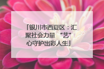 银川市西夏区：汇聚社会力量 “艺”心守护出彩人生