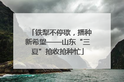 铁犁不停歇，播种新希望——山东“三夏”抢收抢种忙