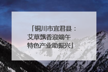 铜川市宜君县：艾草飘香迎端午 特色产业助振兴