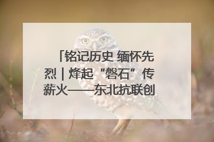 铭记历史 缅怀先烈｜烽起“磐石”传薪火——东北抗联创建地的振兴新篇