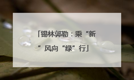 锡林郭勒：乘“新”风向“绿”行