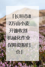 长垣市87万亩小麦开镰收割 机械化作业保障夏粮归仓