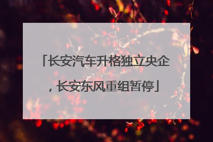 长安汽车升格独立央企，长安东风重组暂停
