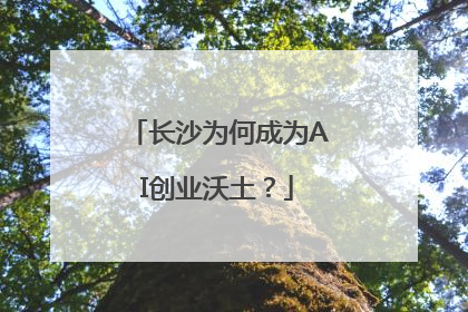 长沙为何成为AI创业沃土？
