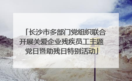 长沙市多部门党组织联合开展关爱企业残疾员工主题党日暨助残日特别活动