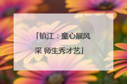 镇江：童心展风采 师生秀才艺