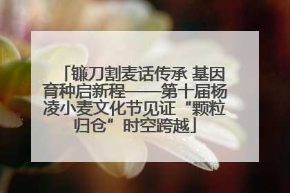 镰刀割麦话传承 基因育种启新程——第十届杨凌小麦文化节见证“颗粒归仓”时空跨越