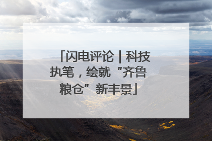 闪电评论｜科技执笔，绘就“齐鲁粮仓”新丰景